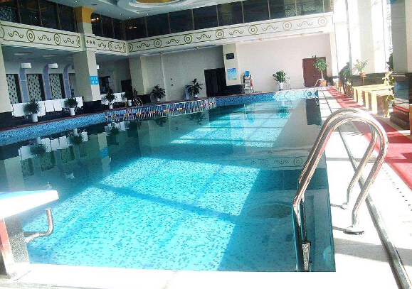 泳池凈化系統 泳池凈化系統